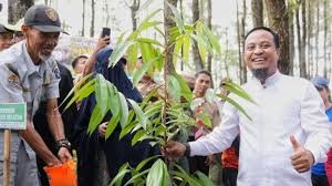 Petani Kakao di Sulsel Cuan Berkat Bantuan Bibit di Era Andi Sudirman