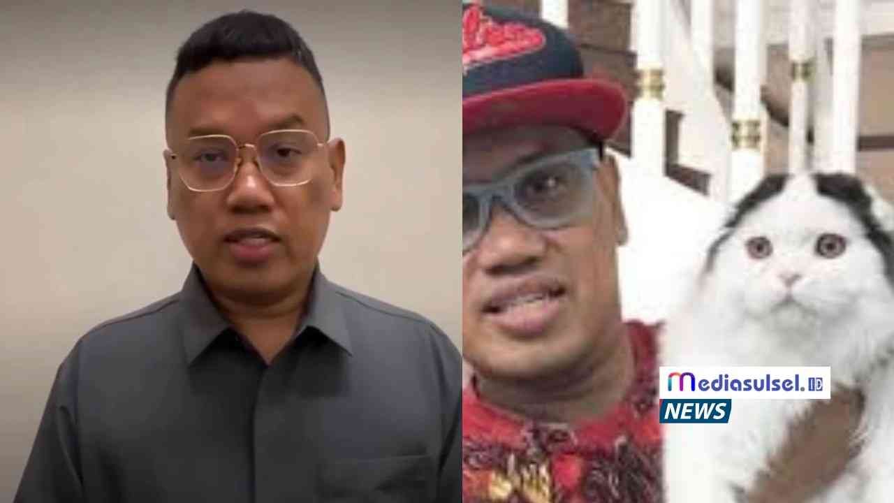“Aku Ikhlas, Cuma Sedih Kucing…” Uya Kuya Usai Rumahnya Dijarah Massa 5 “Aku Ikhlas, Cuma Sedih Kucing…” Uya Kuya Usai Rumahnya Dijarah Massa