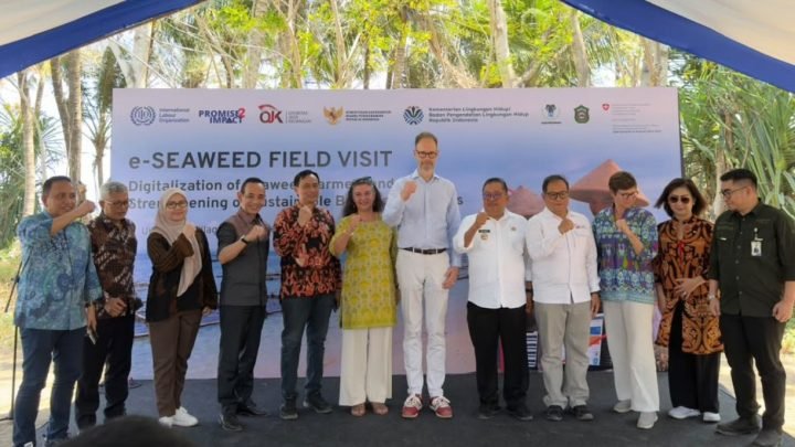 OJK Dorong Inklusi Keuangan Petani Rumput Laut Sulsel Lewat Platform e-Seaweed