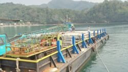 PLN Hadirkan Harapan Terang, Tiang Listrik Disambut Tangis Haru Masyarakat Laonti