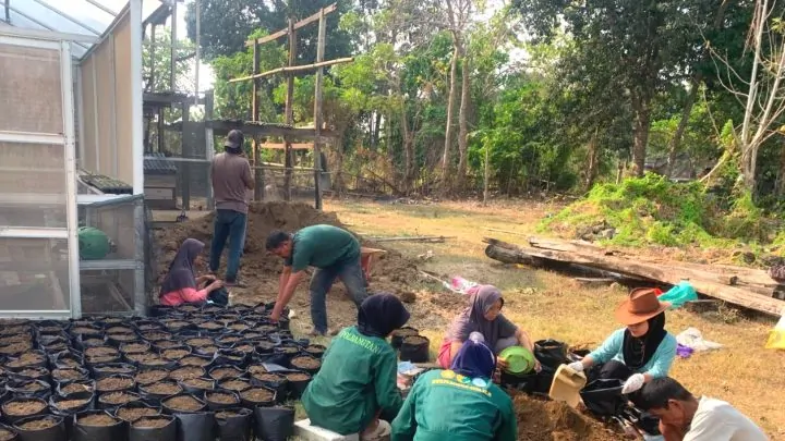 Polbangtan Gowa Gelar PKL 1 di Bone, 79 Mahasiswa Kolaborasi dengan Petani dan Peternak