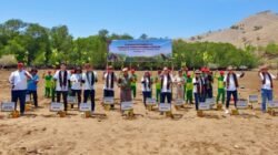 Yayasan AHM Tanam 10.000 Bibit Mangrove di Taman Nasional Komodo