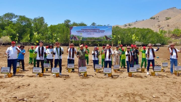 Yayasan AHM Tanam 10.000 Bibit Mangrove di Taman Nasional Komodo 1 Yayasan AHM Tanam 10.000 Bibit Mangrove di Taman Nasional Komodo